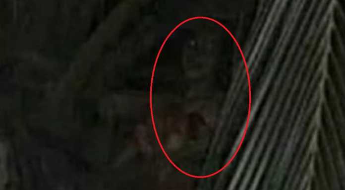 Lagenda Hantu Kayong Di Sarawak, Ketahui Mitos Sumpahan Hantu Bangkit Orang Boyan