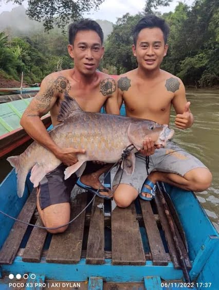 Bagaikan Jackpot, Nelayan Bertuah Ini Peroleh Ikan Empurau 16.5 Kg Di Sarawak