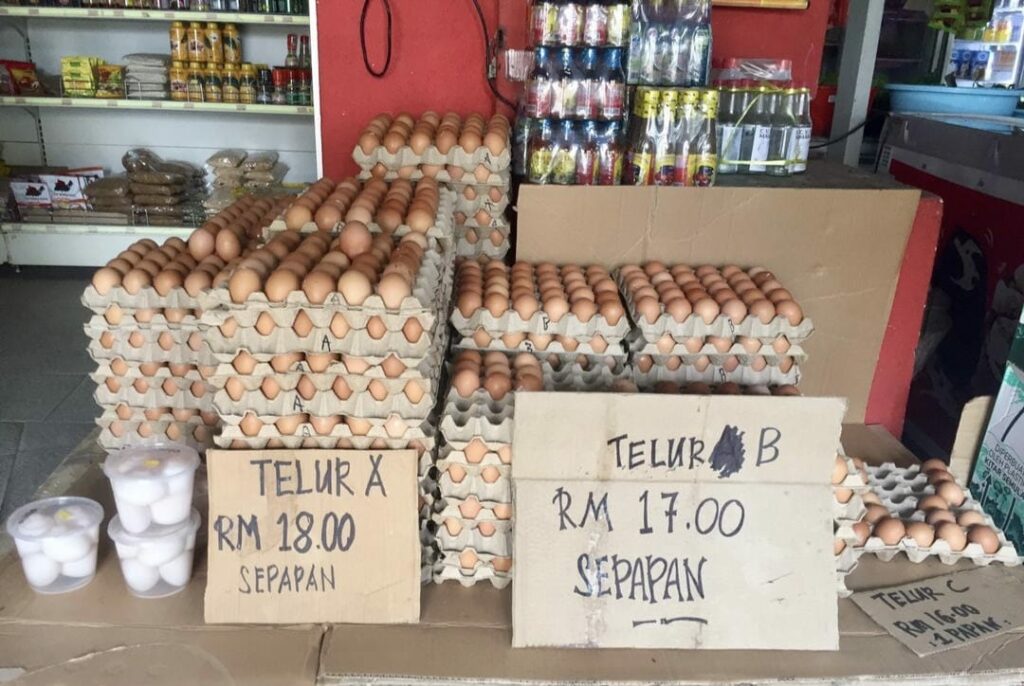 Bekalan Telur Kembali Pulih, Pembeli Pula 'Bidas' Harga Tidak Masuk Akal