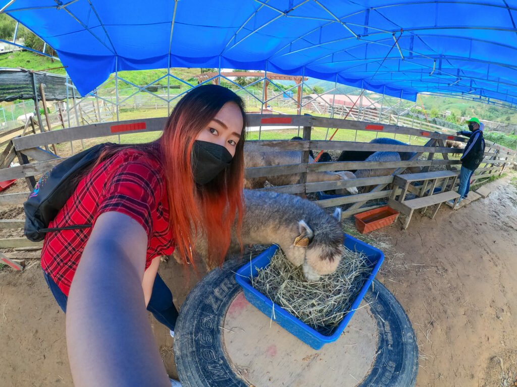 Gadis Ini Kongsi Itinerari Trip Solo Ke Semporna Dan 7 Pulau Selama 8H7M