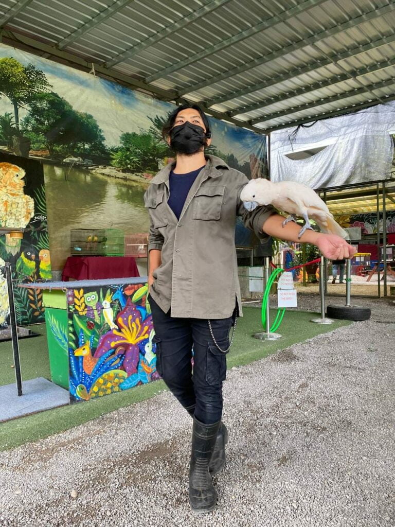 Sempena Cuti Sekolah, Ini 5 Aktiviti Menarik Ditawarkan Oleh VH Green Nature Park Matang