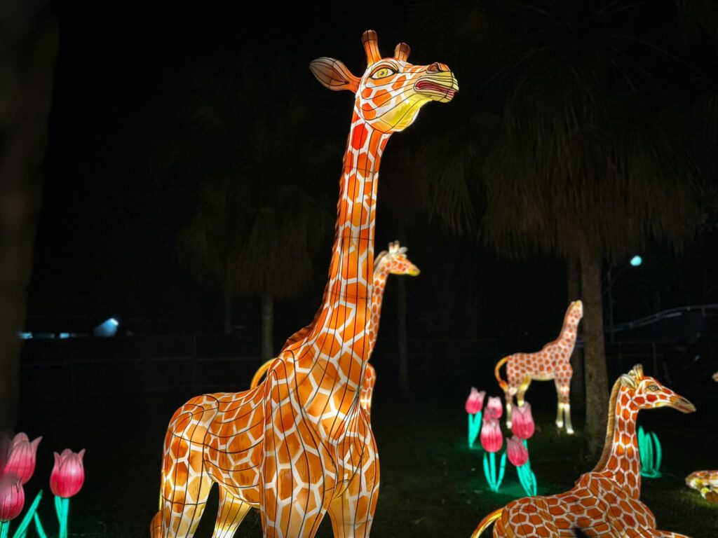 Bertemakan Haiwan, Kunjungi MBKS Dan Meriahkan 'Lightfest In Borneo' Musim Cuti Sekolah Ini