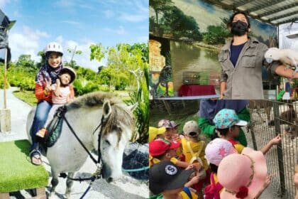 Sempena Cuti Sekolah, Ini 5 Aktiviti Menarik Ditawarkan Oleh VH Green Nature Park Matang
