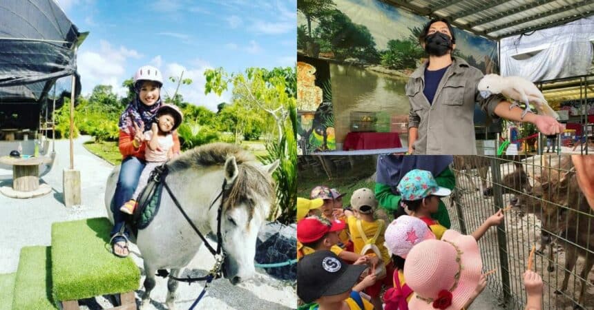 Sempena Cuti Sekolah, Ini 5 Aktiviti Menarik Ditawarkan Oleh VH Green Nature Park Matang