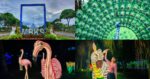 Bertemakan Haiwan, Kunjungi MBKS Dan Meriahkan 'Lightfest In Borneo' Musim Cuti Sekolah Ini
