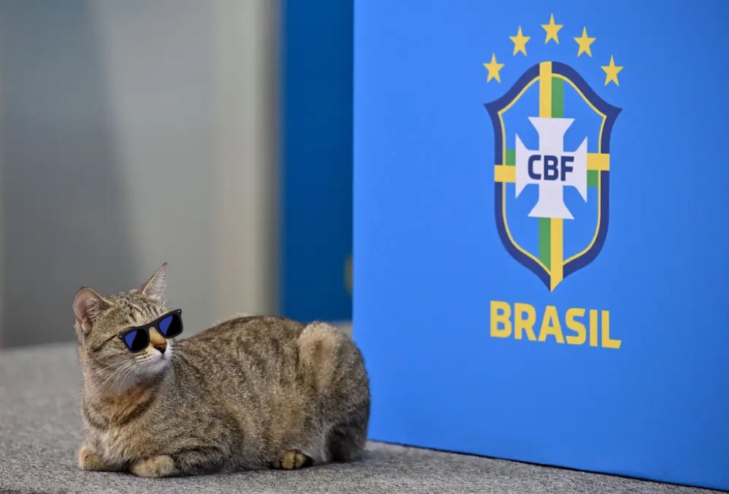 Ini Cerita Bagaimana Seekor Kucing Membuatkan Pasukan Bolasepak Brazil Menangis