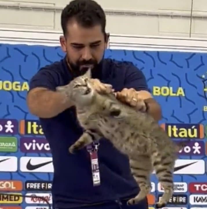 Ini Cerita Bagaimana Seekor Kucing Membuatkan Pasukan Bolasepak Brazil Menangis