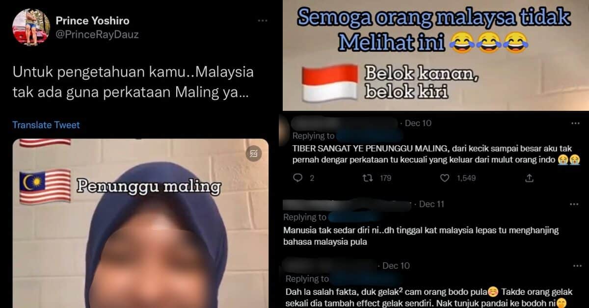 Didakwa Sengaja Perlekeh Bahasa Malaysia Di Tiktok, Wanita Dari Indo Ini Dikecam Hebat Netizen