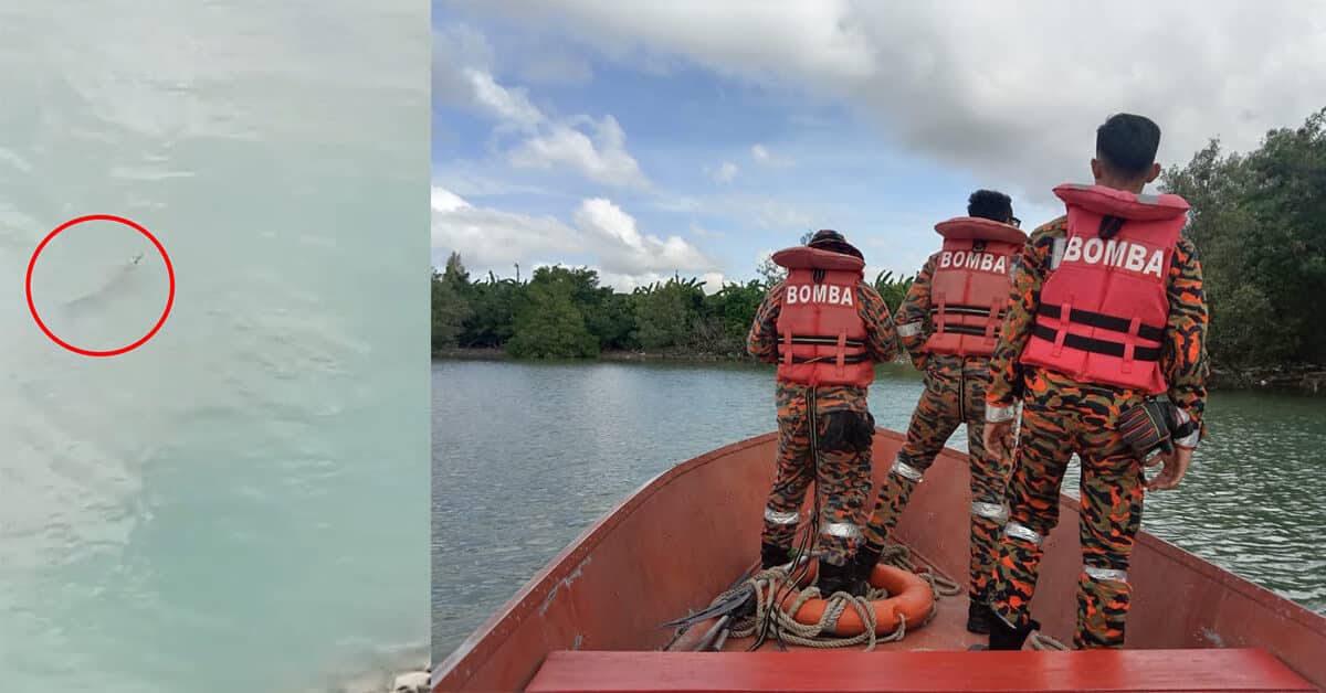 Diserang Ketika Mendayung Sampan, Seorang Kanak-Kanak Dibaham Buaya Di Lahad Datu