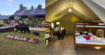 Siap Ada Aircon, Berkhemah Dengan Selesa Di Big Bear Family Camp Sematan
