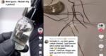 Tular Jual 'Minyak Pengasih' Di TikTok, Peniaga Undang Kebimbangan Netizen