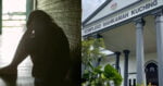 Lakukan Serangan Seksual Terhadap Gadis Berusia 11 Tahun Di Bau, Bekas Askar Didakwa Di Mahkamah