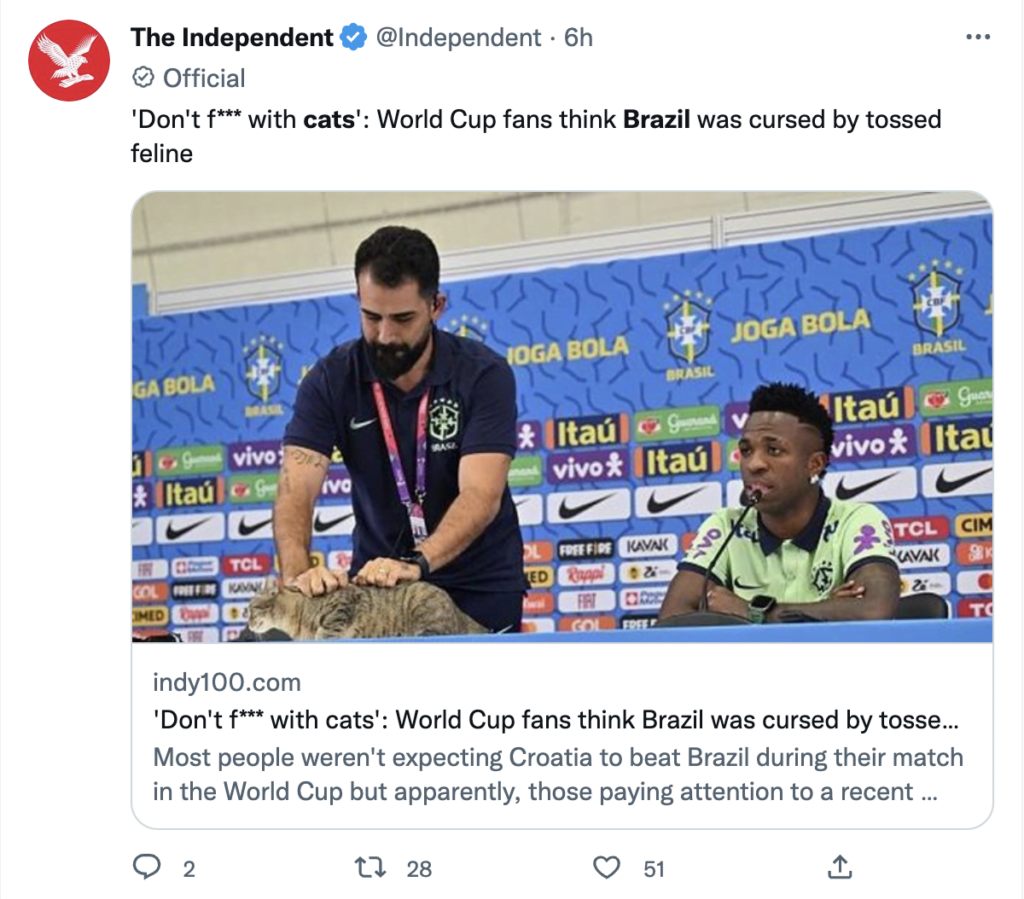 Ini Cerita Bagaimana Seekor Kucing Membuatkan Pasukan Bolasepak Brazil Menangis