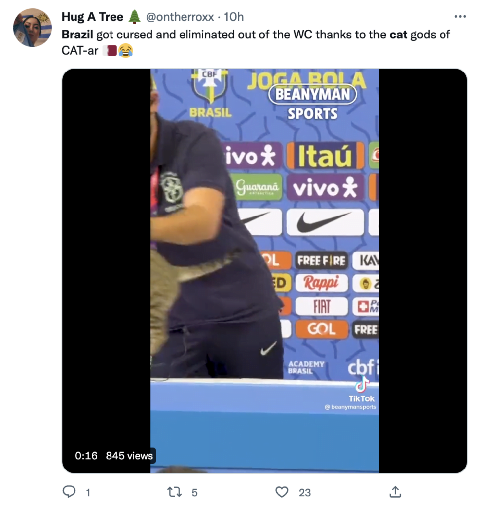 Ini Cerita Bagaimana Seekor Kucing Membuatkan Pasukan Bolasepak Brazil Menangis