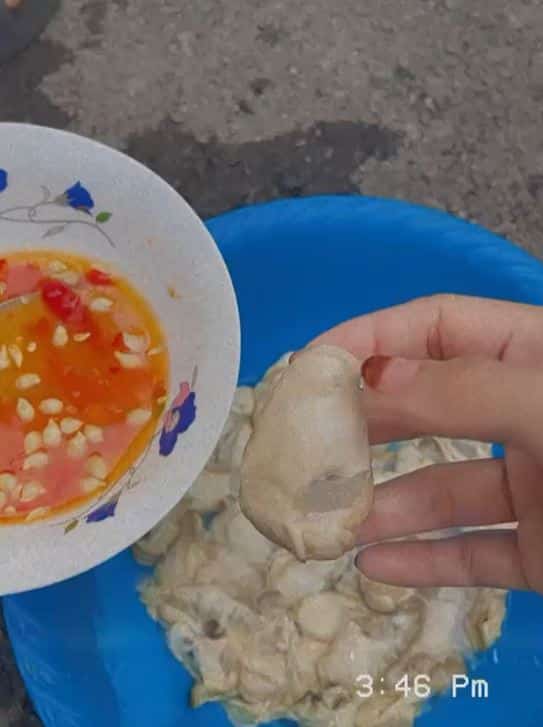 Makan Tiram 'Free' Tepi Pantai, Wanita Ini Kongsi Video Peroleh Oyster Di Kampung Tambirat