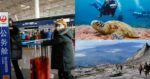 Sabah Antara Negeri Pertama Tetapkan SOP Kemasukan Pelancong Dari China