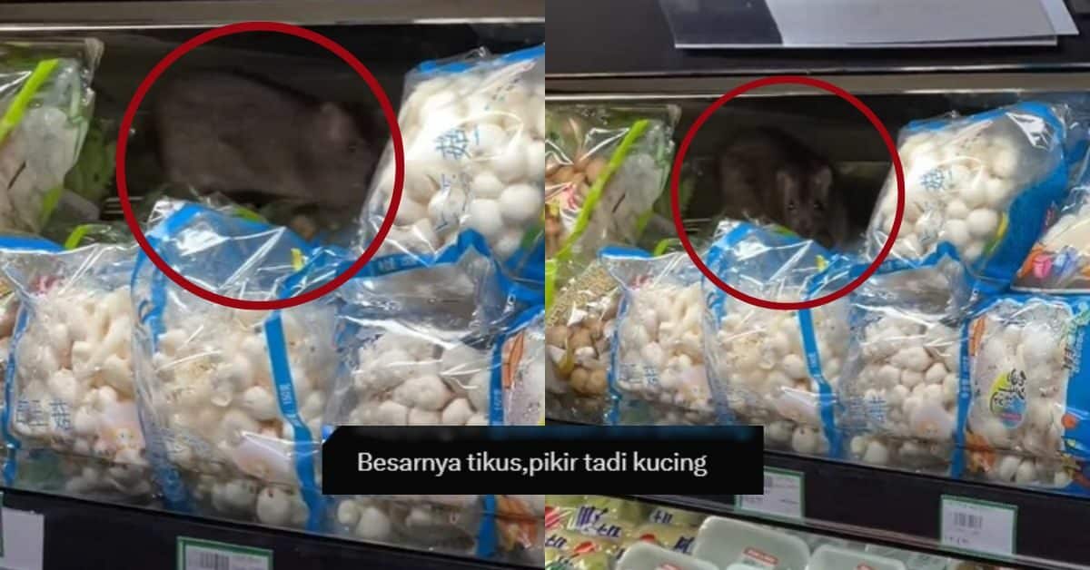 Pelanggan Terkejut, Tikus Besar Kucing 'Bersarang' Di Celah Bungkusan Sayur Di Pasar Raya KK