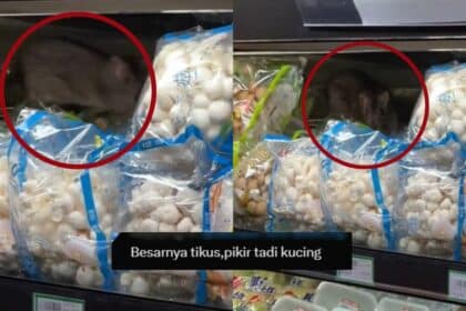 Pelanggan Terkejut, Tikus Besar Kucing 'Bersarang' Di Celah Bungkusan Sayur Di Pasar Raya KK