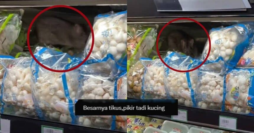 Pelanggan Terkejut, Tikus Besar Kucing 'Bersarang' Di Celah Bungkusan Sayur Di Pasar Raya KK
