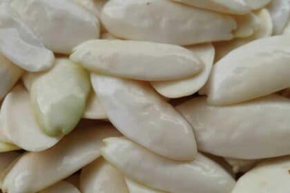Dikenali Sebagai Almond Sarawak, Kenali Buah Empit Buah 'Favorite' Masyarakat Iban