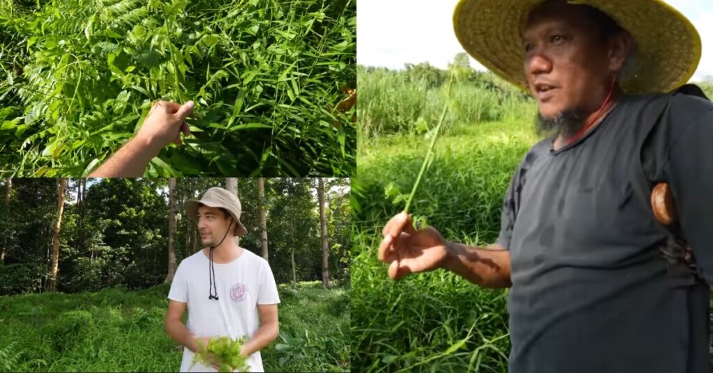 Gemar Menjelajah Dunia, Mat Salleh Ini Kongsi Keunikan Alam Sepanjang Sungai Kinabatangan