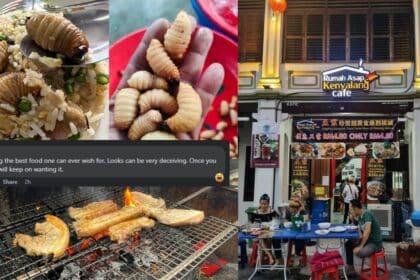 Keunikan Hidangan Sarawak Di Penang, Nasi Goreng Ulat Mulong Menjadi Bualan Ramai