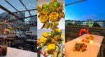 Shellout Sambil Nikmati Pemandangan Sungai Sarawak, Ketahui Jala Jala Seafood Di Kuching