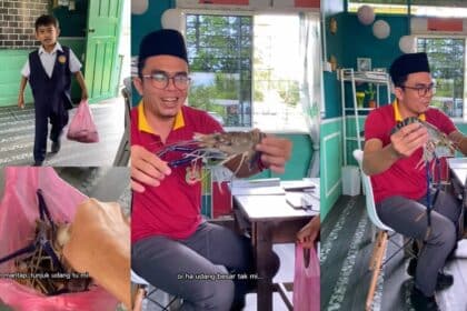 Terima Udang Galah Segar Di Dalam Kelas, Murid Ini 'Hadiahkan' Kepada Gurunya Di Daro