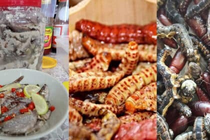 Adakah Anda Berani? Ini 6 Makanan Eksotik Dari Borneo Mungkin Tak Ramai Sanggup Cuba
