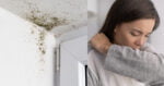 Boleh Bawa Kesan Buruk Kepada Kesihatan, Ketahui Tanda Dan Punca Tumbuhan Kulat Di Dinding Rumah