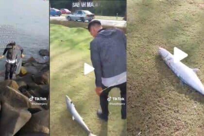 Tak Perlu Turun Ke Laut, Netizen Sabah Kongsi Rezeki Pancing Tenggiri Di Tebing Laut Sahaja