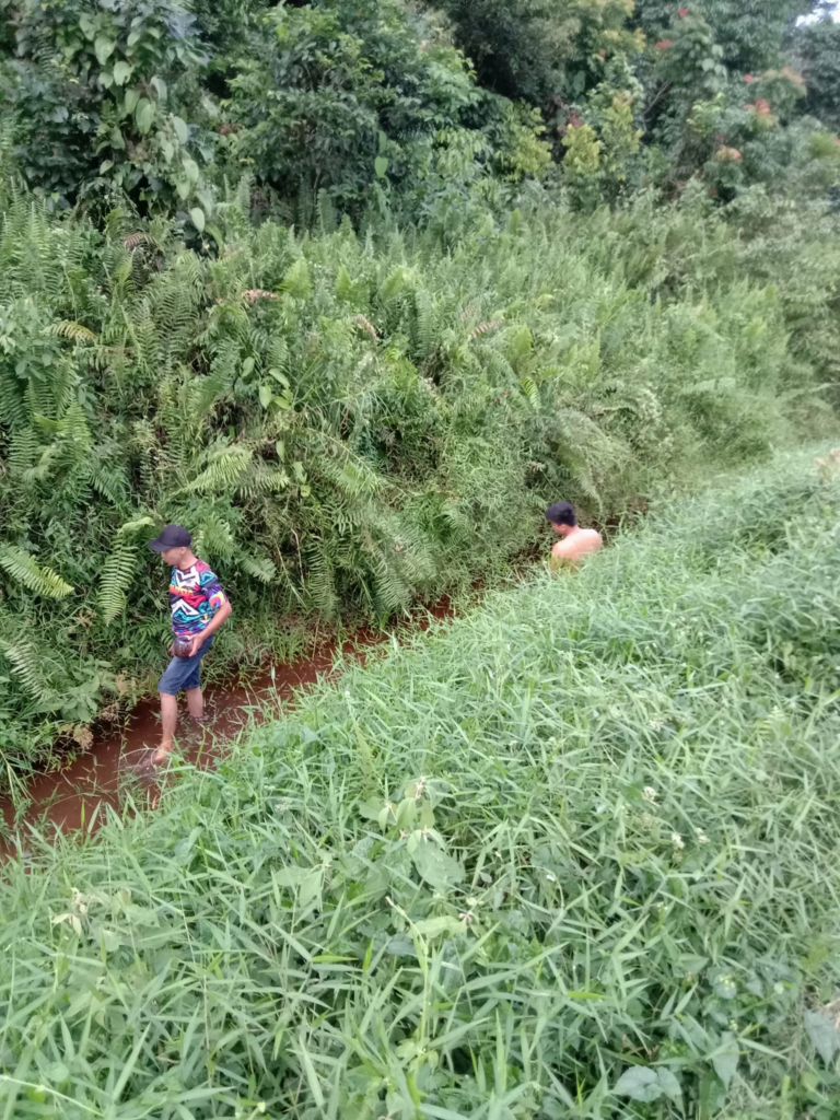 Makanan Eksotik Harga Kayangan Di Sarawak, Ketahui 'Ulat Lameh' Yang Boleh Cecah RM 600 Sekilo
