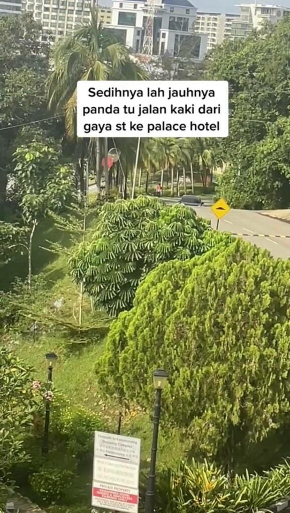 Hadiahkan Basikal Buat 'Panda Walker', Tiktoker Dermawan Dari Sabah Ini Terima Pujian Netizen
