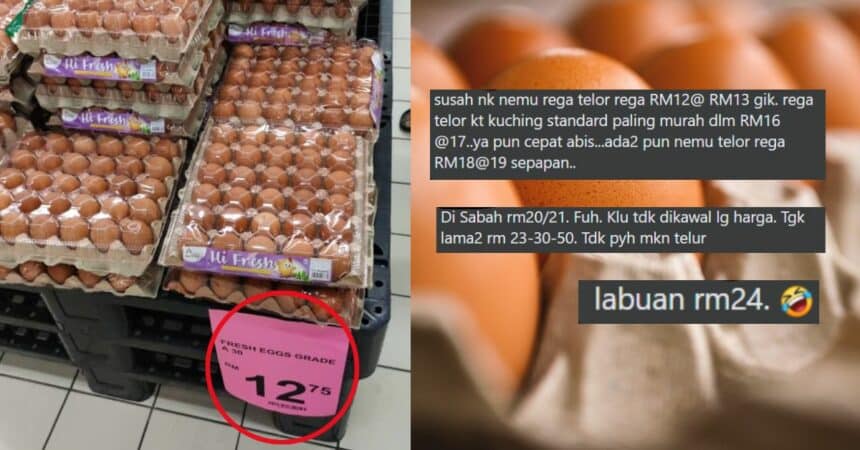 Harga Telur Gred A Di Johor Jauh Murah, Netizen Persoalkan Kenapa Telur Mahal Di Sarawak Dan Sabah