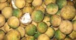 Kenali Buah Langgir, Buah Syampu Semula Jadi Di Sarawak