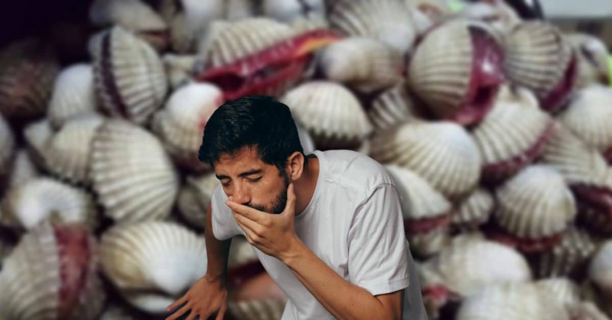 Keracunan Melebihi Tahap Bahaya, Orang Ramai Disarankan Untuk Henti Makan Kerang Dari Perairan Sabah