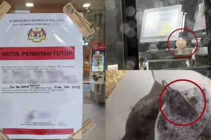 Restoran 'Fast Food' Terkenal Diarah Tutup, Pelanggan Jumpa Tikus Dan Lipas Dalam Aiskrim