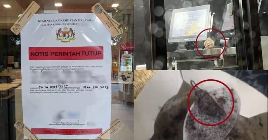 Restoran 'Fast Food' Terkenal Diarah Tutup, Pelanggan Jumpa Tikus Dan Lipas Dalam Aiskrim