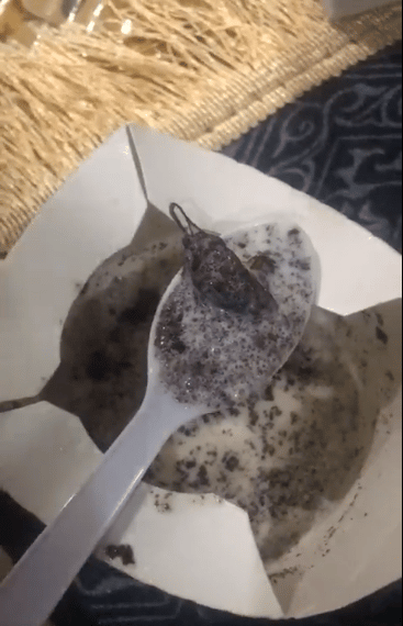 Restoran 'Fast Food' Terkenal Diarah Tutup, Pelanggan Jumpa Tikus Dan Lipas Dalam Aiskrim