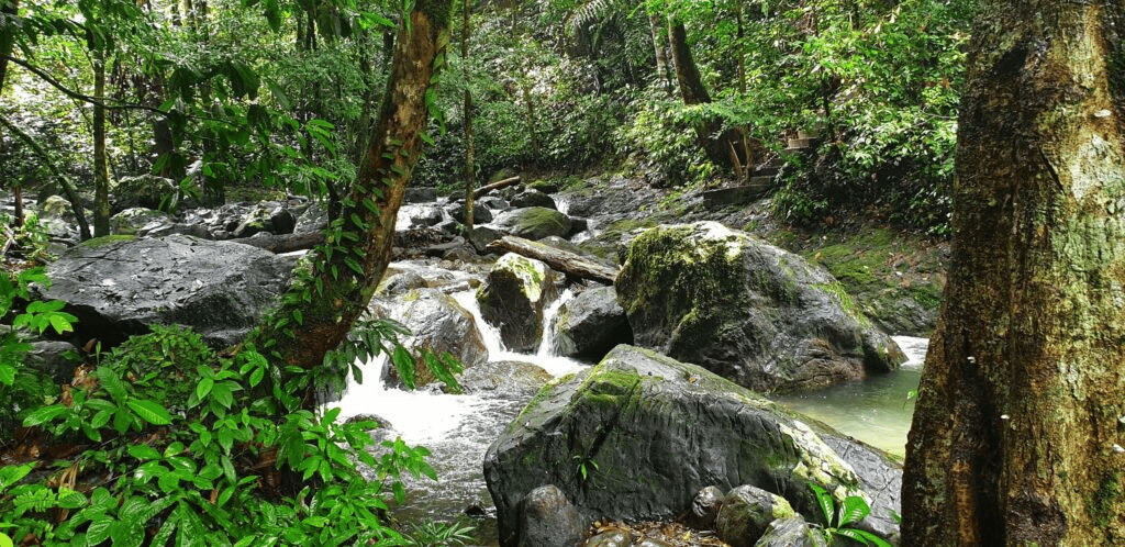 Port Air Terjun Di Serian, Taman Rekreasi Ranchan Kini Sudah Dibuka Buat Orang Ramai