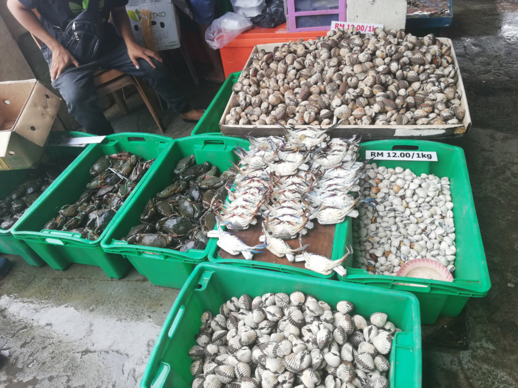 Keracunan Melebihi Tahap Bahaya, Orang Ramai Disarankan Untuk Henti Makan Kerang Dari Perairan Sabah