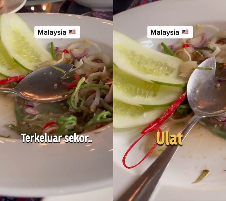 Jumpa Ulat Sayur Dalam Lauk Midin, Netizen Puji Cara Kedua Belah Pihak Selesaikan Isu