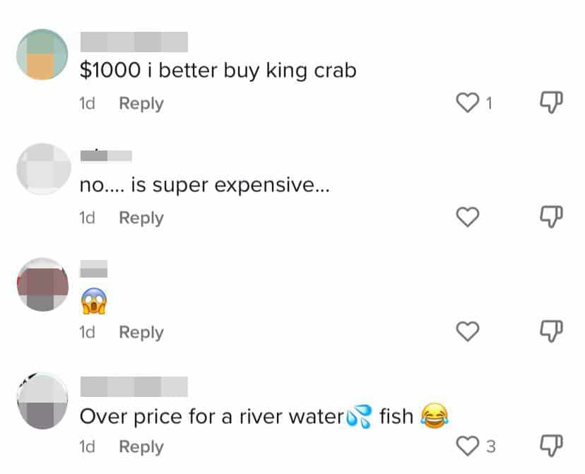 Ikan Termahal Pernah Dimakan Dalam Seumur Hidupnya, Wanita Singapura Ini Cuba Empurau Di Sibu