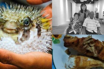 18 Kematian Direkodkan, KKM 'Haramkan' Penjualan Ikan Buntal Di Pasaran Serta Merta