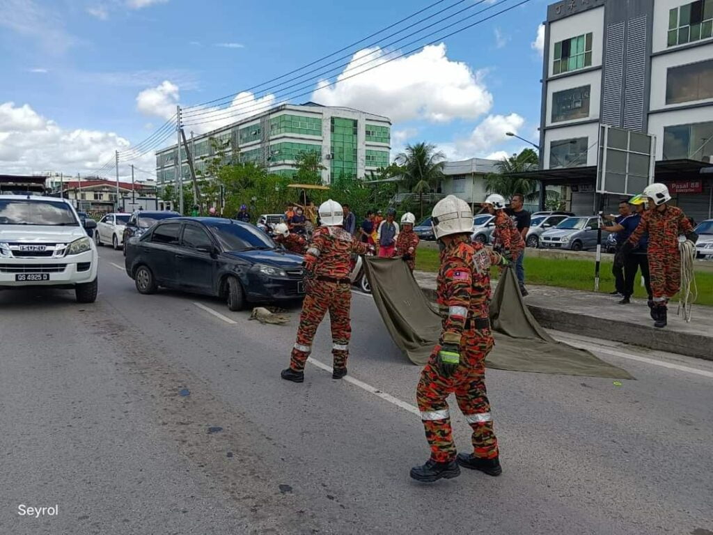 Buaya Sepanjang 6 Kaki 'Sesat' Di Jalan Sibu, Berjaya Ditangkap Pihak Bomba