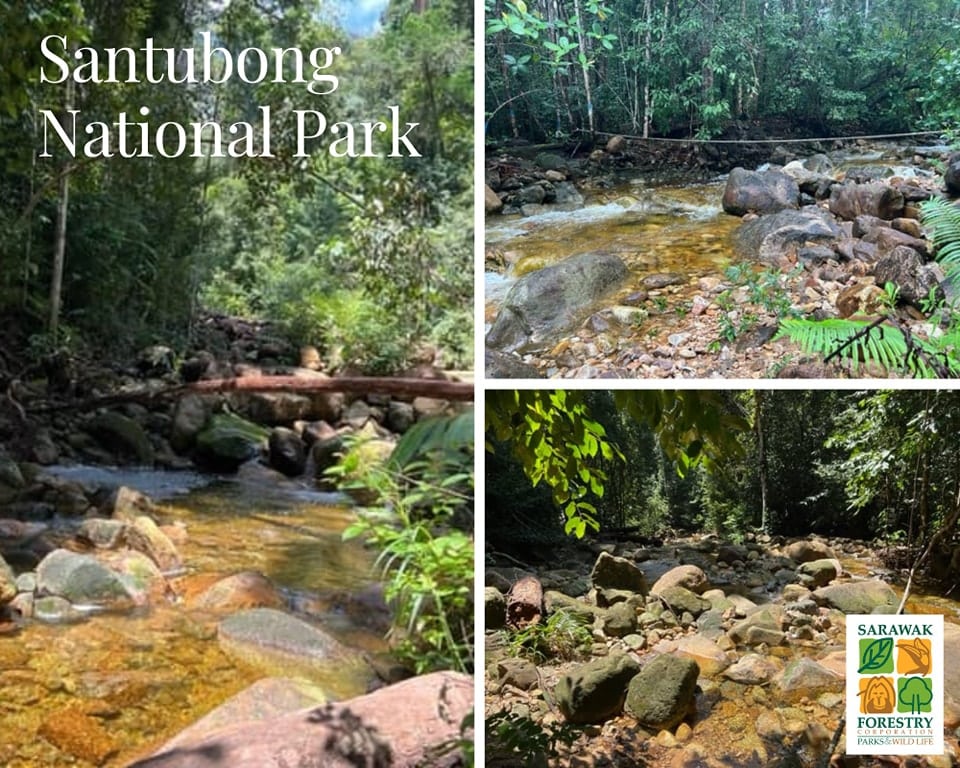 Taman Negara Santubong & Pusat Hidupan Liar Matang Dibuka Semula Pada 1 April