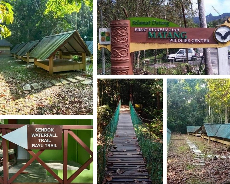 Taman Negara Santubong & Pusat Hidupan Liar Matang Dibuka Semula Pada 1 April