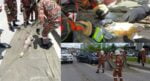Buaya Sepanjang 6 Kaki 'Sesat' Di Jalan Sibu, Berjaya Ditangkap Pihak Bomba