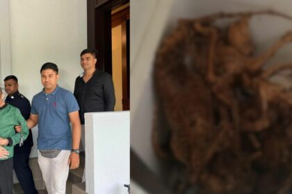 Bunuh Kucing-Kucing Peliharaan Dengan Kejam, Lelaki Asal Dari Dalat Dipenjara 2 Tahun Di KL