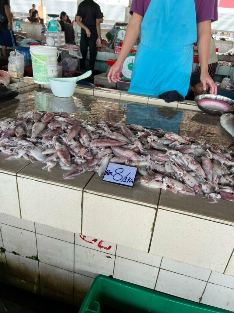 'Semenanjung Can't Relate', Harga Sotong Di Sabah Ini Jadi Tumpuan Netizen